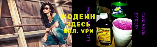 spice Гусев