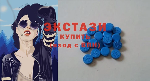индика Гусь-Хрустальный